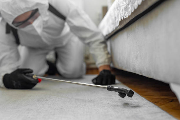 Professional Bed Bug Control technician working in New Hyde Park, NY